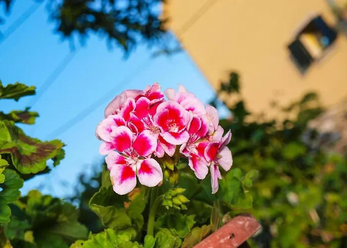 Simi Апартаменты Постира